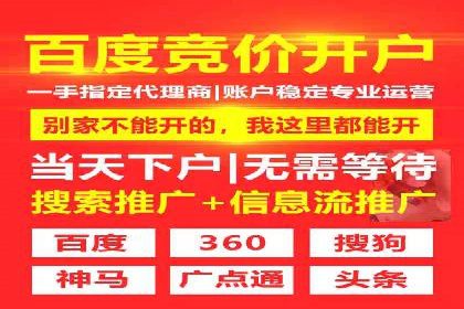 百度广告竞价与SEO结合的案例：某企业双管齐下的营销策略